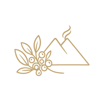 Volcanic Terroir